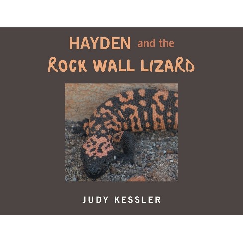 lizards  Backyard and Beyond