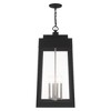 Livex Lighting Oslo 4 - Light Pendant in  Black - 3 of 4