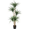 Nasitip Artificial Dracaena Tree, Realistic Fake Dracaena Plant, Tall Dracaena Houseplant for Indoor Décor, Adjustable Lifelike Faux Tree - 2 of 4