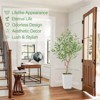 Artificial Tree in Pot with Realistic Leaves & Natural Wood Trunk - 4 of 4