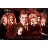 Trends International Harry Potter and the Order of the Phoenix - Group Unframed Wall Poster Prints - 4 of 4