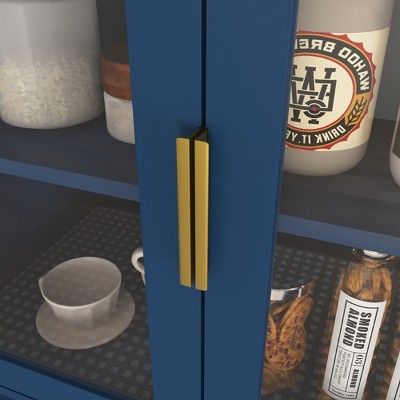 Close-up of blue cabinet door with vertical gold handle