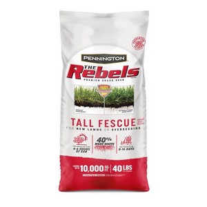 Pennington The Rebels Tall Fescue Grass Sun or Shade Grass Seed 40 lb - 1 of 1