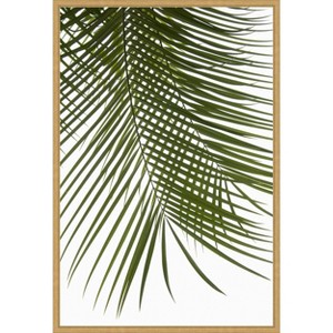 Amanti Art Palm Leaves Foliage Photo IV by Amini54  Framed Canvas Wall Art - 1 of 4