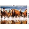 Trends International Horses Unframed Wall Poster Prints - 3 of 4