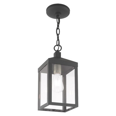 Nyack Scandinavian Gray 1-Light Outdoor Pendant with Clear Glass