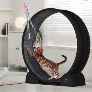 Cat Exercise Wheel for Indoor Cats, 45'' Large Cat Running Wheel with Detachable Carpet & Pedometer, ABS Pet Treadmill for Running Walking Training - 1 of 4