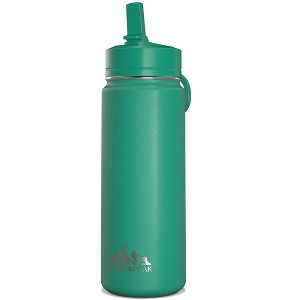 Hydrapeak 20oz Kids Stainless Steel Leak Proof Water Bottle with Straw Lid and Flexible Handle - 1 of 4
