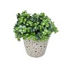 Tierra Garden 7" Round Self-Watering Bamboo Pot - 4 of 4