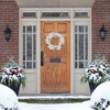 Northlight 24" White Flocked Artificial Christmas Wreath with Pine Cones - 3 of 4