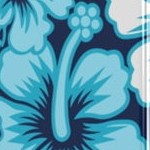 blue hibiscus