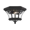 Livex Lighting Monterey/Georgetown 2 - Light Flush Mount in  Black - 4 of 4