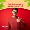 Pure Horny Goat Weed Extract Capsules with Maca Powder, Promotes Immune Support & Increase Energy, Drive & Stamina for Men & Women, Phytoral, 60ct - 4 of 4
