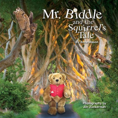 Mr. Biddle and the Squirrel's Tale - by  Anne Mason (Paperback)