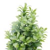 Unique Bargains Artificial Plants Plastic Green 2.76"x2.76"x7.09" 1 Pcs - 4 of 4