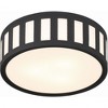 Crystorama Lighting Kendal 3 - Light Flush Mount in  Black Forged - 4 of 4