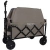 Whisen Expandable Dual-Layer Utility Wagon with 100% Extra Space, Grocery Cart for Camping, Shopping, Supports 225lbs - 3 of 4