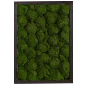 Nearly Natural 17-in X 24-in Artificial Moss Hanging Frame - 1 of 3