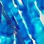 water tie dye