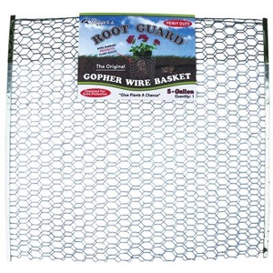 Digger's Root Guard 20 in. H X 19 in. W X 0.2 in. D Silver Coated Wire Gopher Wire Basket - 1 of 1