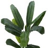 GlasFlength Artificial Plants Artificial Rubber Tree Artificial Banana Tree Faux Plants for Indoor Home Decoration, Green, 39"*38"*55" - 4 of 4