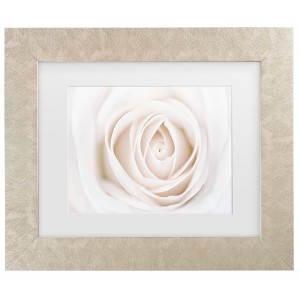 Trademark Fine Art - Cora Niele White Rose Matted Framed Art - 1 of 4