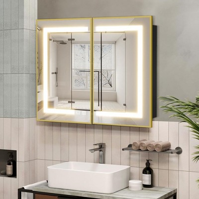 Lighted Medicine Cabinet with Mirror Wall Mounted Bathroom Mirror with Storage