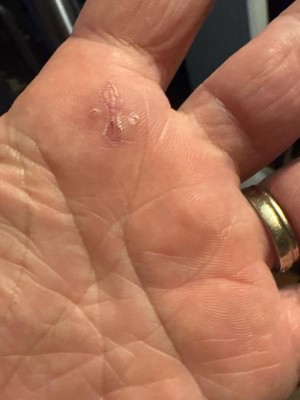 Guest review image 1 of 1, zoom in