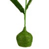 Northlight 19" Daisy Flower Artificial Spring Floral Table Top Decoration - Green/Yellow - 4 of 4