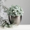 4"H, 5"H and 5.5"H Sullivans Glazed Silver-Edged Planters - Set of 3 - 3 of 3