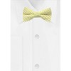 Jacob Alexander Young Boys’ Seersucker Striped Pre-Tied Bow Tie - 2 of 4