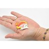 Collectible Wildlife Gifts | Butterflyfish, Tropical Fish, Plastic Fish Design, Realistic, Toy Model, Gift,   2"    CWG137 BB28 - 3 of 4