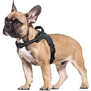 rabbitgoo Dog Harness, Adjustable Dog Walking Harness with Handle and with Padded Strap for Large Dogs (Black,L) - 1 of 1