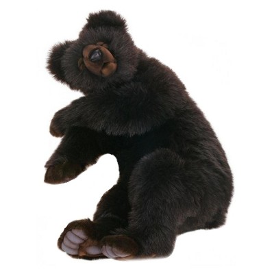 sun bear plush