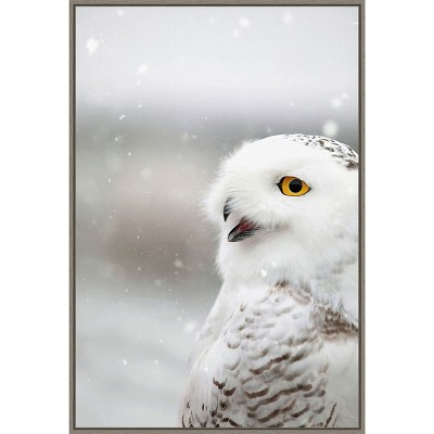 Amanti Art Snowy Owl in the Snow by Carrie Ann Grippo-pike Canvas Wall Art Print Framed 23-in. x 33-in.