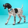 Male Wrap Dog Diapers - 24ct - up&up™ - 2 of 4