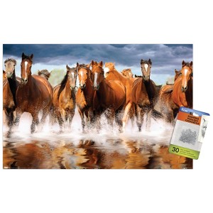 Trends International Horses Unframed Wall Poster Prints - 1 of 4