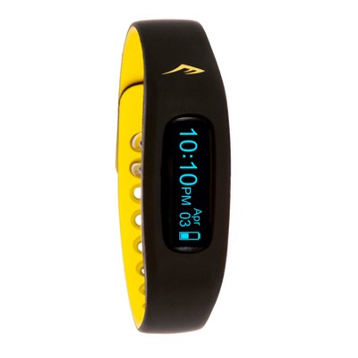 everlast fitbit