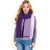 Anna-Kaci Women's Color Block Knitted Scarf with Gradient Design and Soft Warm Fabric - 4 of 4