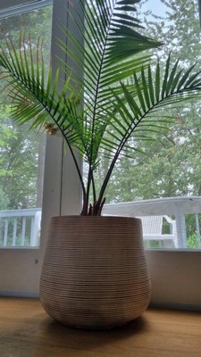 Guest review image 3 of 3, zoom in