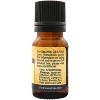 Plantlife Allspice Essential Oil – 100% Pure & Therapeutic Grade – Natural, Undiluted & Steam-Distilled – No Additives or Fillers – 10ml Aromatherapy - 2 of 2