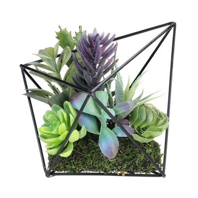 Northlight 6.75" Succulent Artificial Arrangement in Black Wire Terrarium - Green/Black