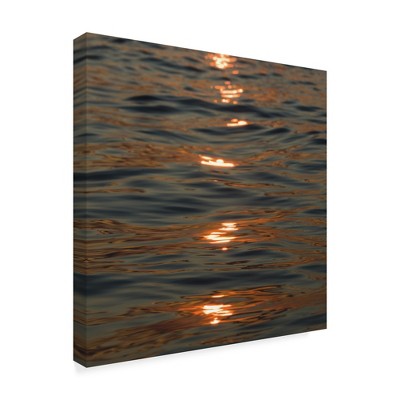 Trademark Fine Art -Kurt Shaffer 'Sunset Zen Reflections' Canvas Art