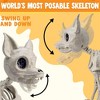 Joyfy 12.6" Halloween Chihuahua Dog Skeleton Decor, Dog Plastic Bones with Posable Joints for Graveyard Party Prop Decor - 2 of 4
