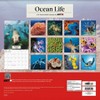 Trends International 2026 Ocean Life 12"x12" Wall Calendar - 4 of 4