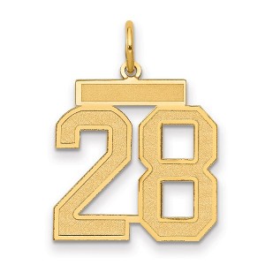 Black Bow Jewelry 14k Yellow Gold, Jersey Collection, Medium Number 28 Pendant - 1 of 3