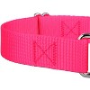 Country Brook Design Martingale Heavyduty Nylon Dog Collar and Double Handle Leash - 4 of 4