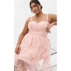 Women's Plus Size DRESS AMBROSIA R - Ballet Pink | CITY CHIC - 3 of 4
