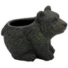 Classic Home and Garden Cement Buddies Indoor/Outdoor Planter with Drainage Hole, Bear, Dark Brown, 7" - 3 of 4