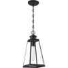 Quoizel Lighting Paxton 1 - Light Pendant in  Matte Black - 3 of 4